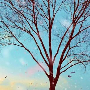 Meet your Posher, Taemin